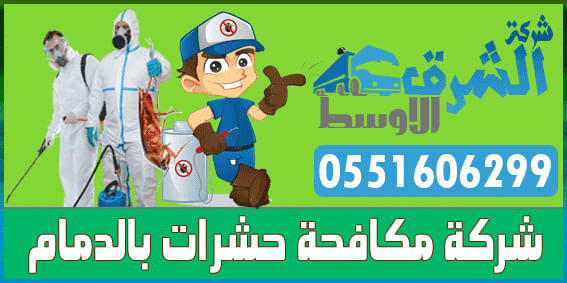 شركة مكافحة حشرات بالدمام