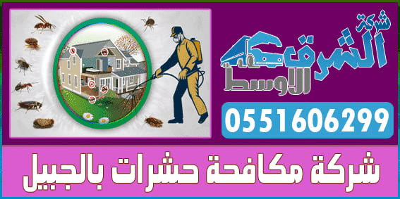 شركة مكافحة حشرات بالجبيل